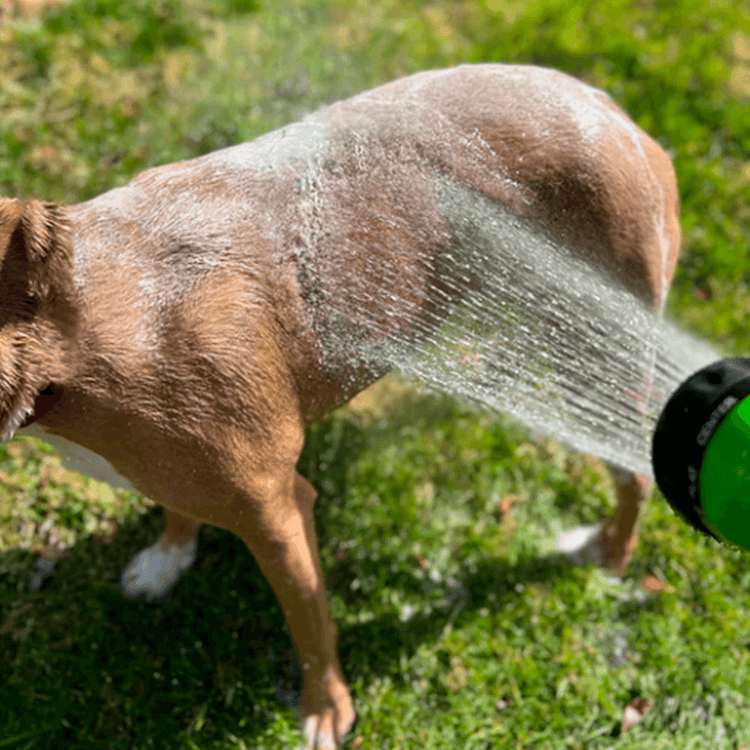 Jet  FlashBath